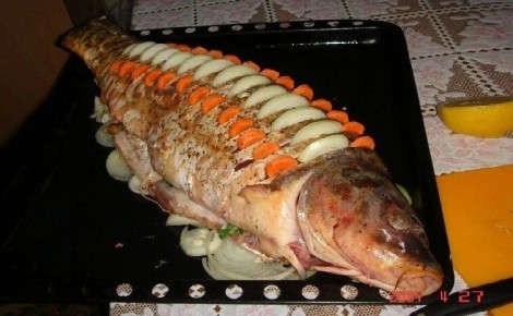 ��� ����������� ����� ��-���������: ������� ����������� �����