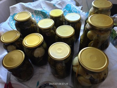 ������ ������: ������� �������� �����������