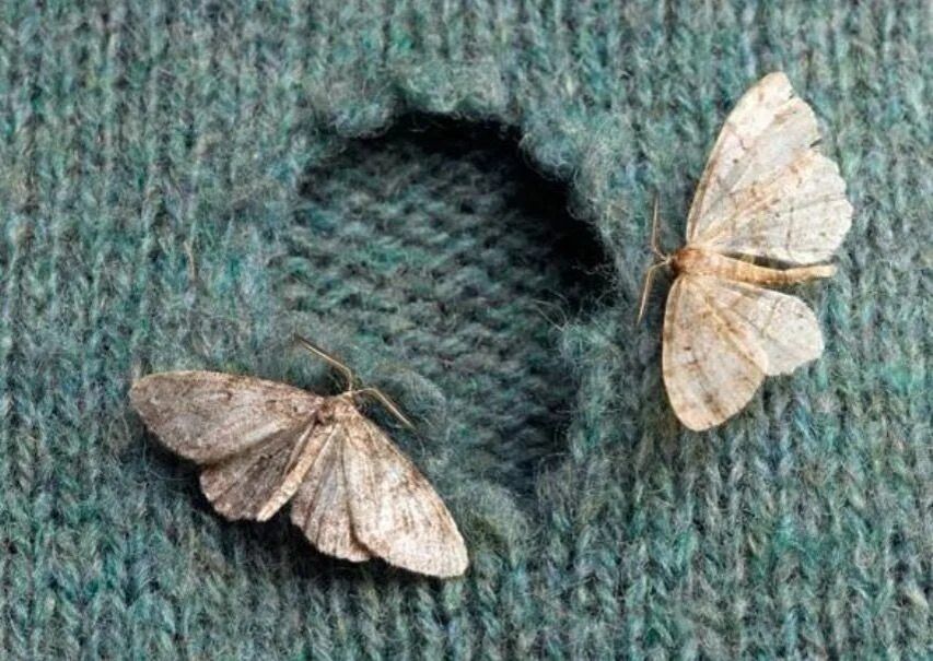 ���� � ���� ������ �� ��������: ��������� ��������� ������������ � �������