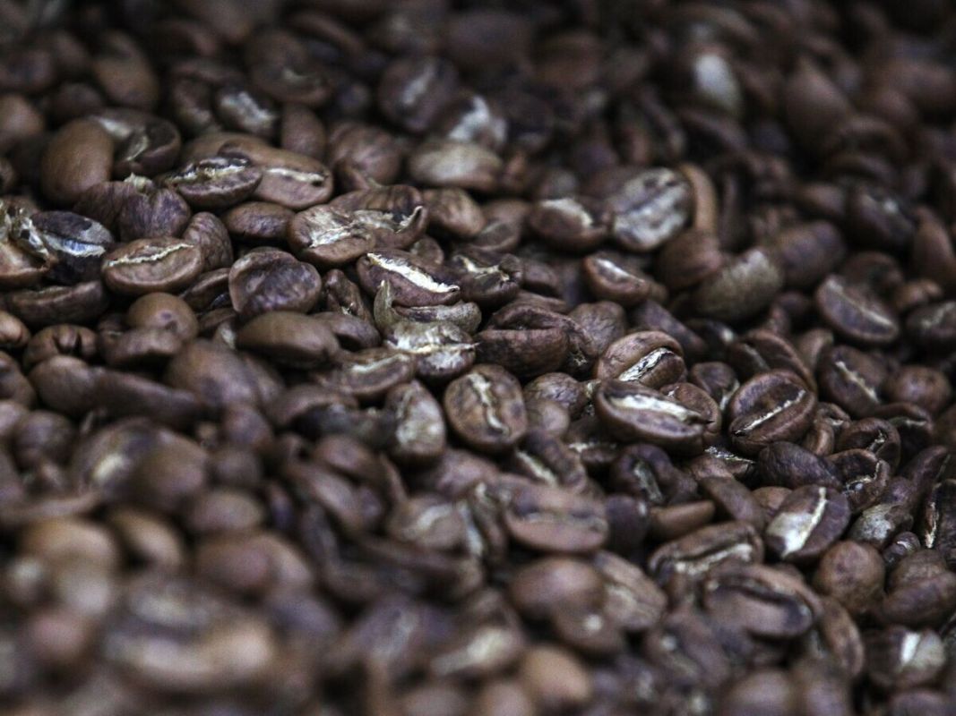 �������� ������������ � ������ �������� �������� ����