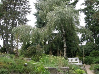 ��� ����� ��������: �������, ����������� � ����������� ������� ��� ���������