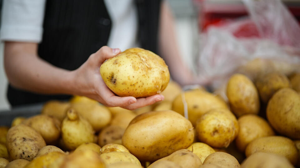 Цены на продукты действительно идут вниз: что заметили в сентябре