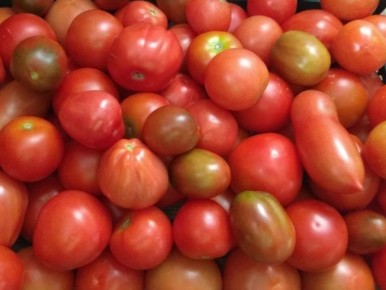 ����� ���������� ������: �������� ��� �������� �����