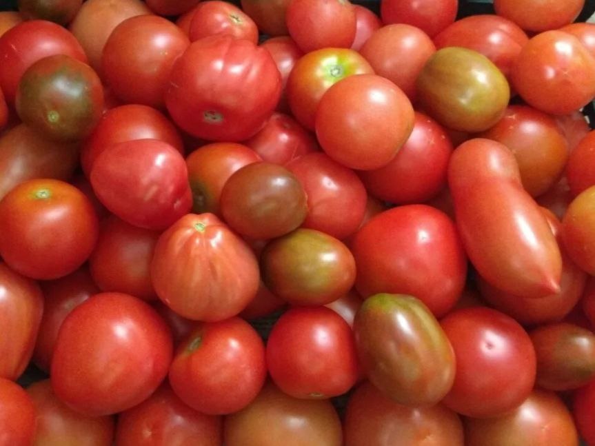 Яркий помидорный гарнир: спасение для осеннего обеда