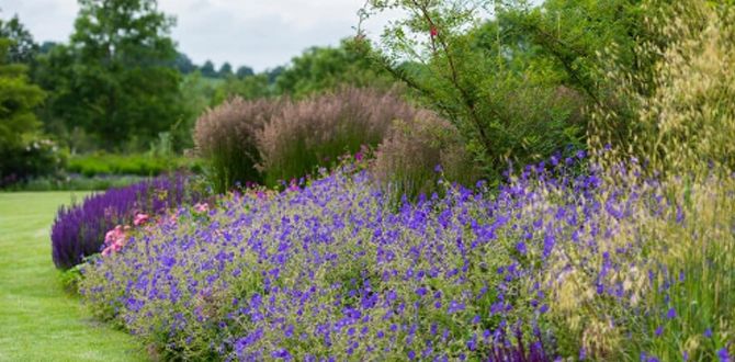 ������������� �����: ��������� �������� ������������� ��������