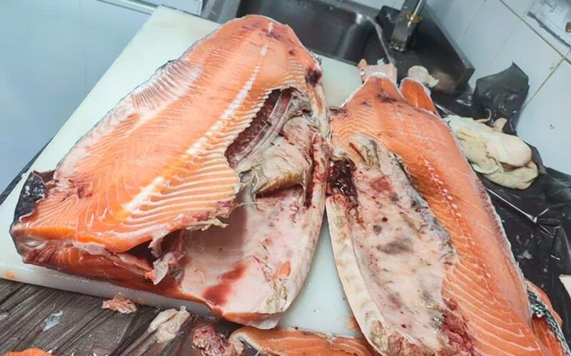 ���������� ������ �� ������������� ���������: ������� ������� ��� ����������