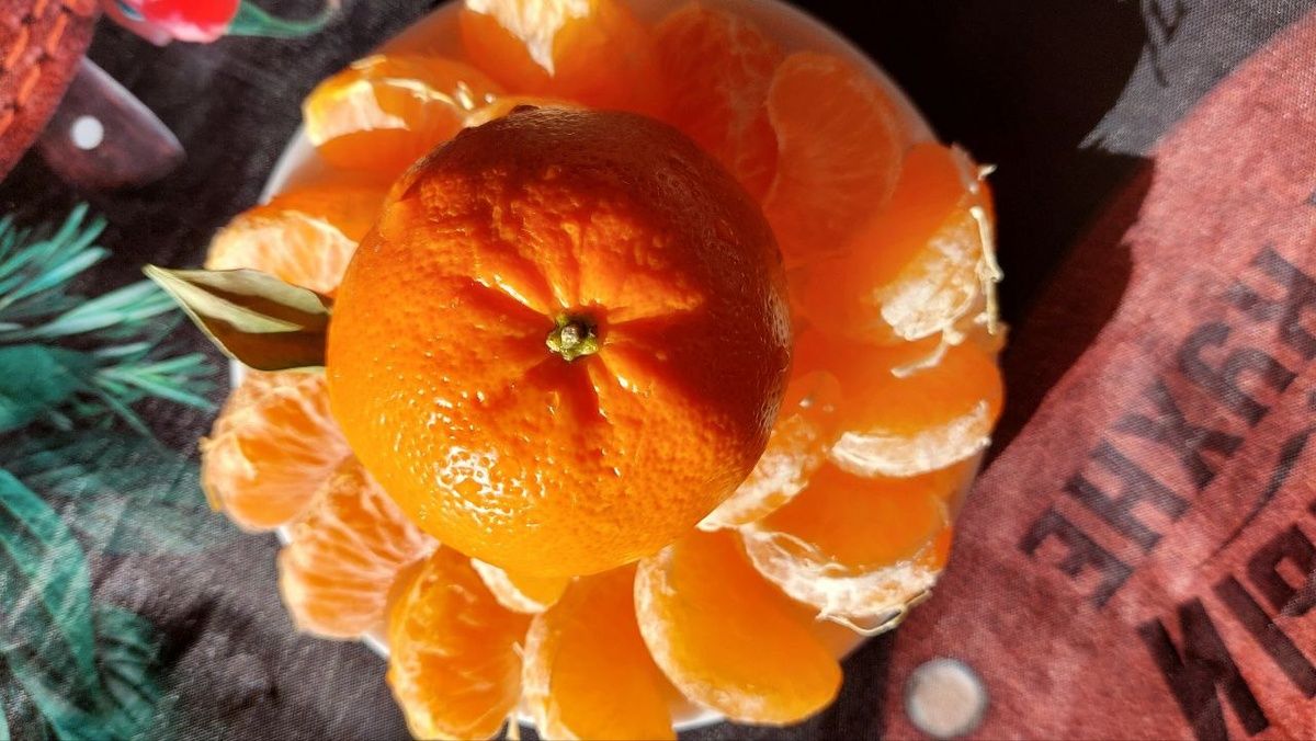 ����� ���������: ����� ����������