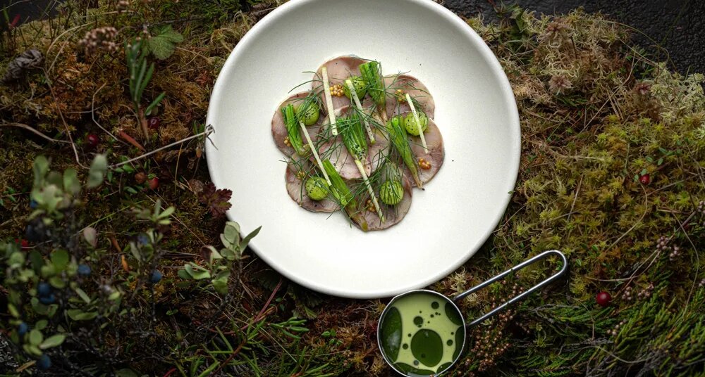 Всероссийский фестиваль устойчивой гастрономии: новое дыхание экологии на тарелке