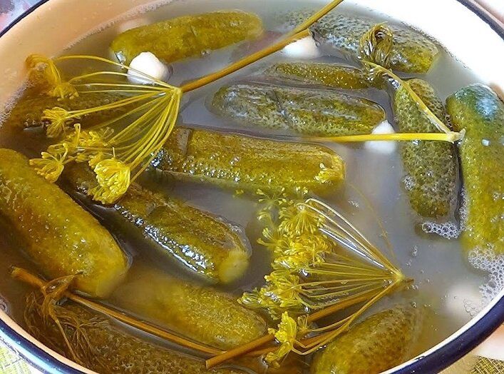 ����� ��������� ���������: ������������ �������� ������ �� ����