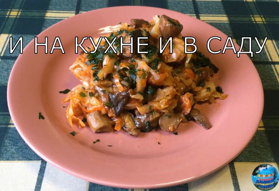 ������� ������� � �������: ������� � ������� ������