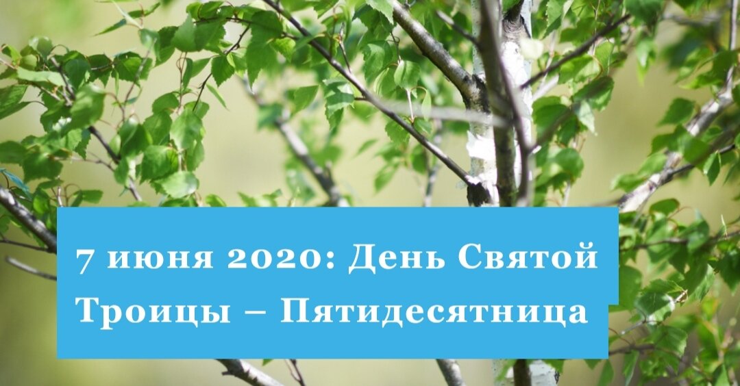 Троица: праздник, который объединяет верующих