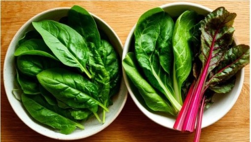 ����������� ������������ ��������� � �������� � �������