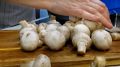 Простой и Вкусный Рецепт Грибов с Картошкой, Который Вы Должны Попробовать