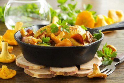 ������������� ������� ������: ��������� ��������� ��� ����