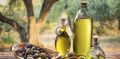 Как выбрать качественное оливковое масло: советы и секреты дегустации