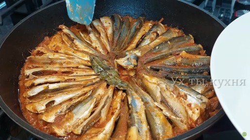 ������ ���� �� ��������: ������ ����� � �������� ����� � ������������ ����