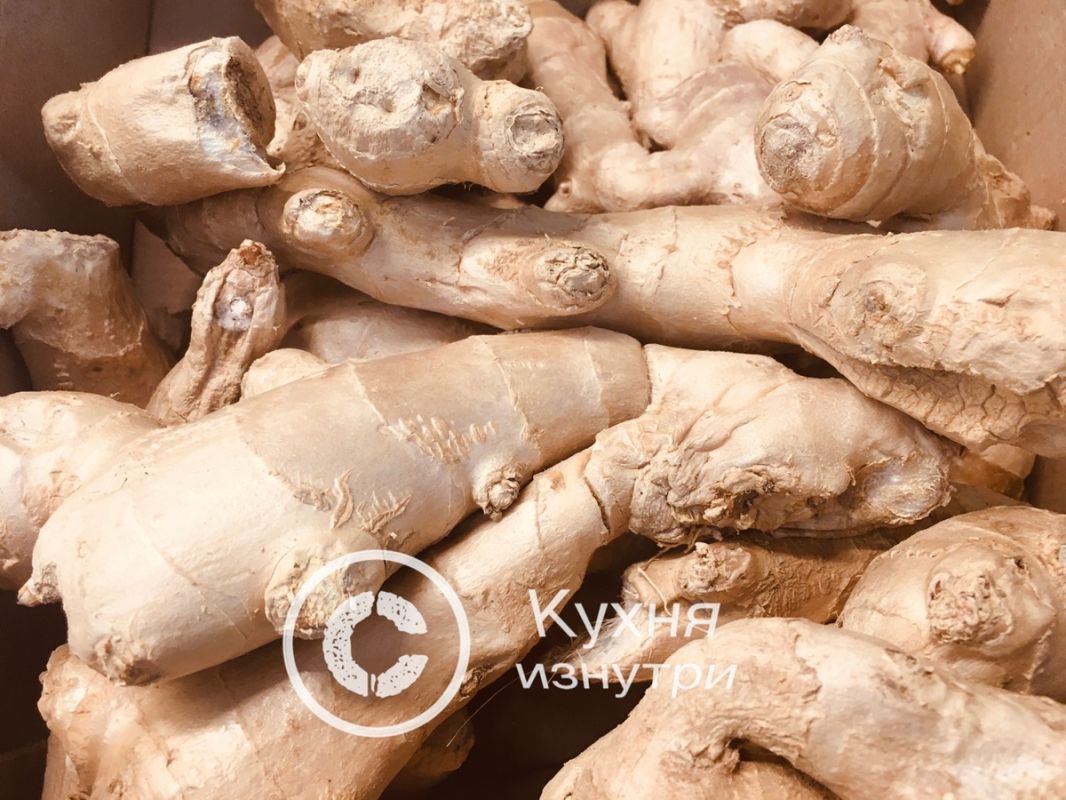 ������ � �������� ����: ����������, ��� � ����