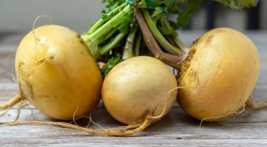 ������� � �������� ����� ������� ��� ������ �����