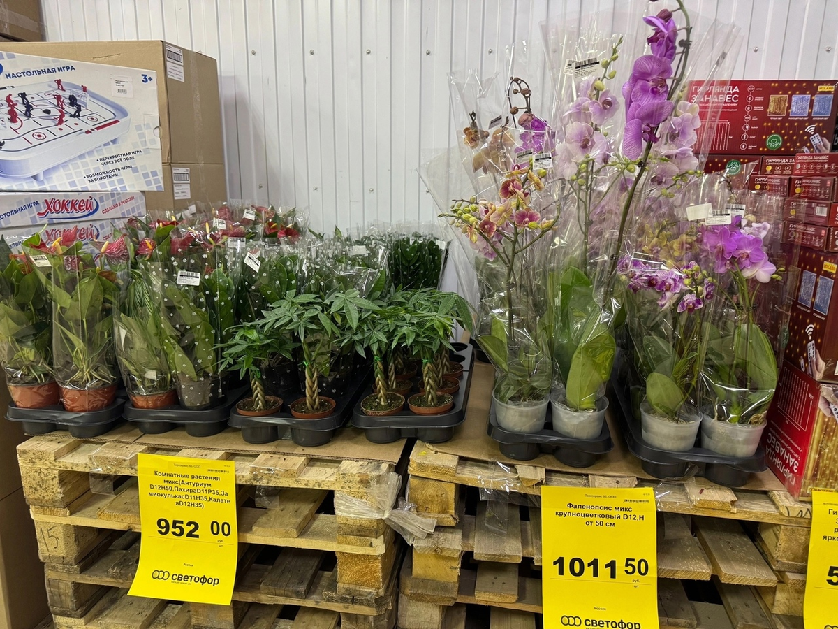 Как проверки изменили Светофор: товары в изобилии, но цены растут