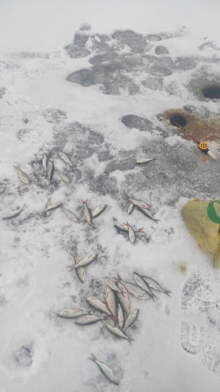 ��� ���������� ������ ���� � ���������: ������� ������� � �����������