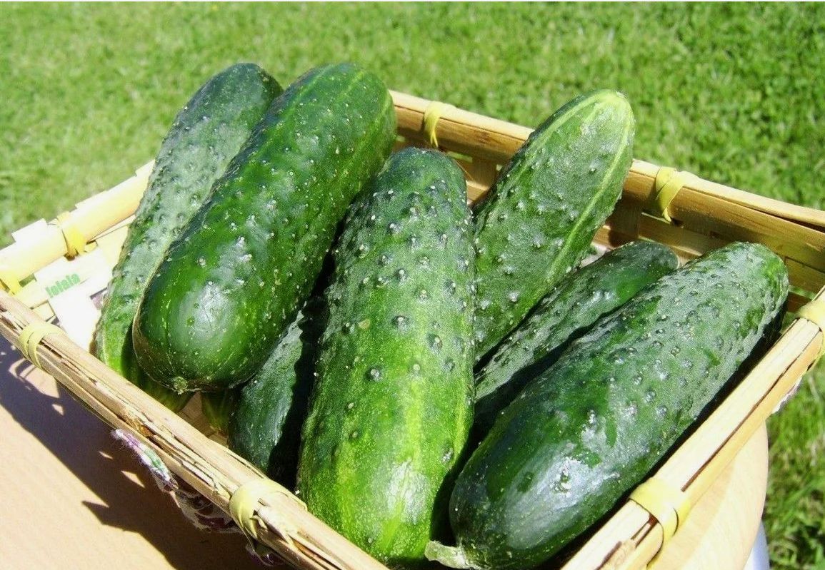 ����� �� ������ �������? ���, ��� ����� ������