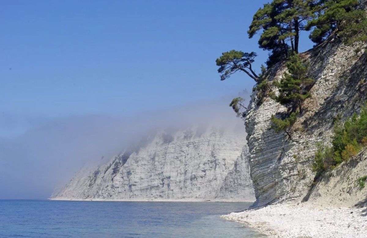 ��������������������� �������������: ��� ����� ������� ����� ����