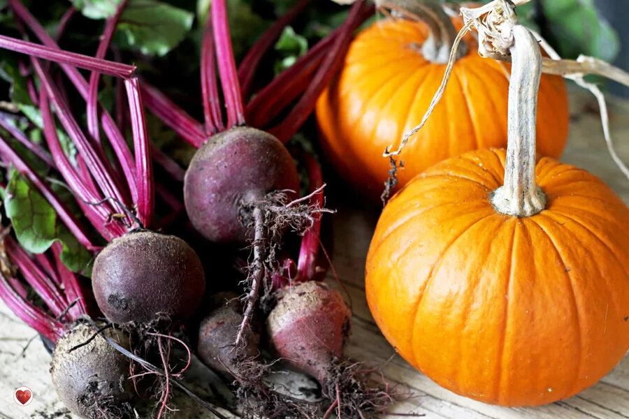 ������� �����: ����� ������ � ������ ��� ��������