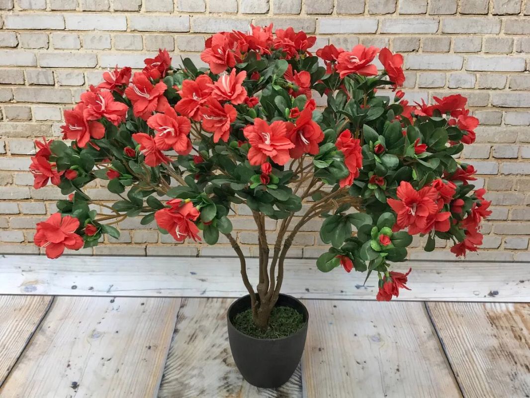 ����������� ����� ��� ������� ����: ��� ���� �� ���������� ���������� ���������� ��� ���