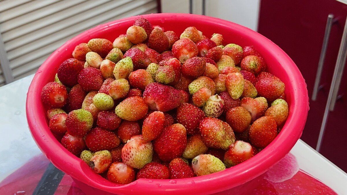 ������� ������� � ���������: 5 ������� ���� ��� �����