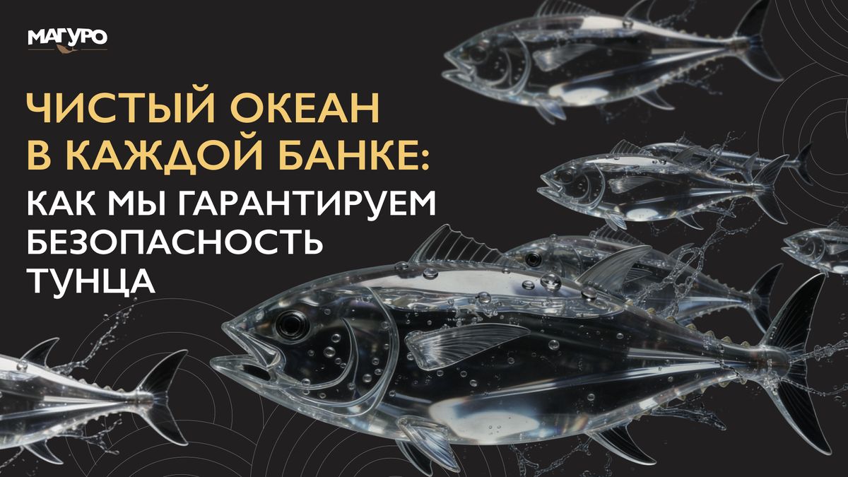 ���������� �����: ��� �� ��������� � ������� ������ � ����� ��������