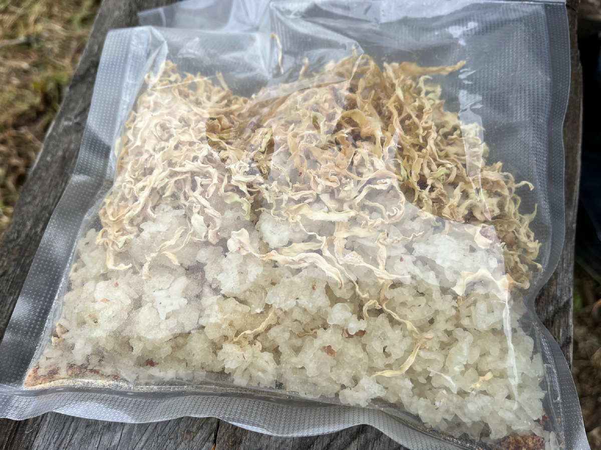 Ленивые голубцы: идеальное сушеное блюдо для похода