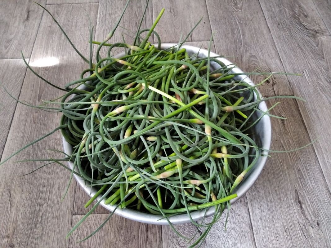 ������� ���������� ������� �� ����: ������� �����������