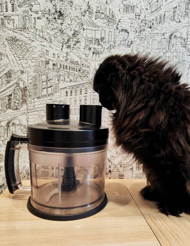 �������� �� �����: ��� ������� ��������� �������� ��� ��� �����