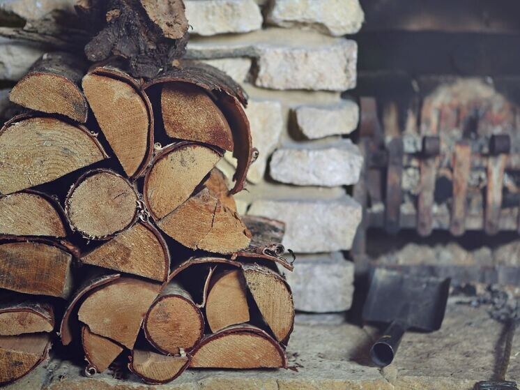 Научное шоу «Опыты на кухне» удивило юных красноярцев