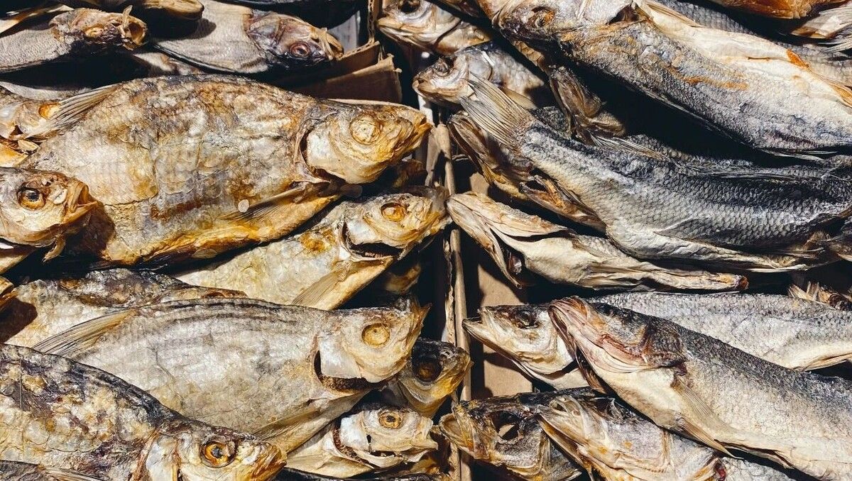 ������ ���� �� ����� ���������� ��������� ��� ����������