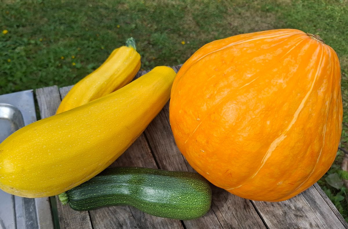 ����� �� ����: ������� � ������ �������