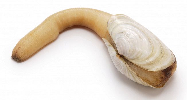 ������: ������� � ����������� ����������