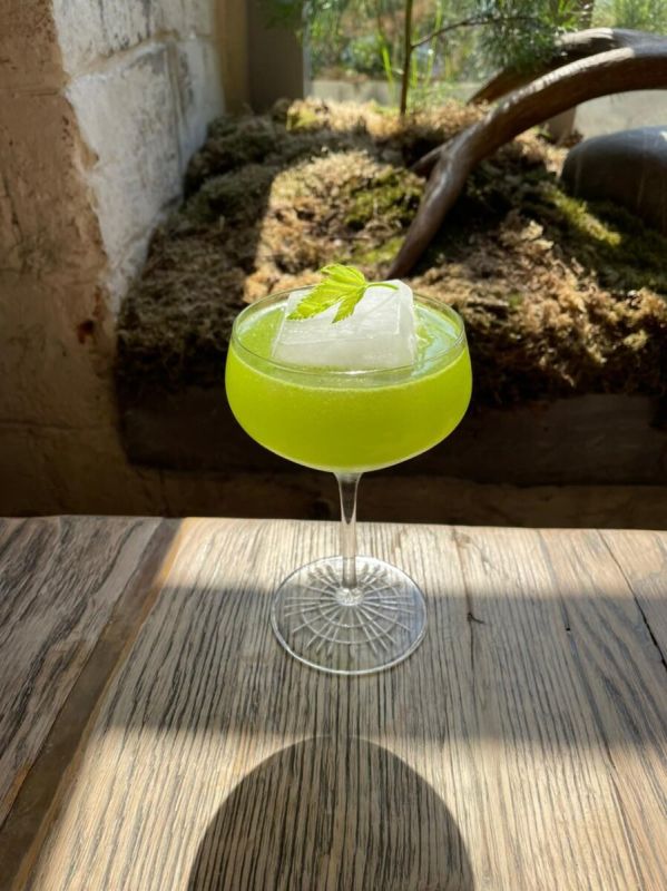 ������ �������� Fersk: �������� � ����� �����