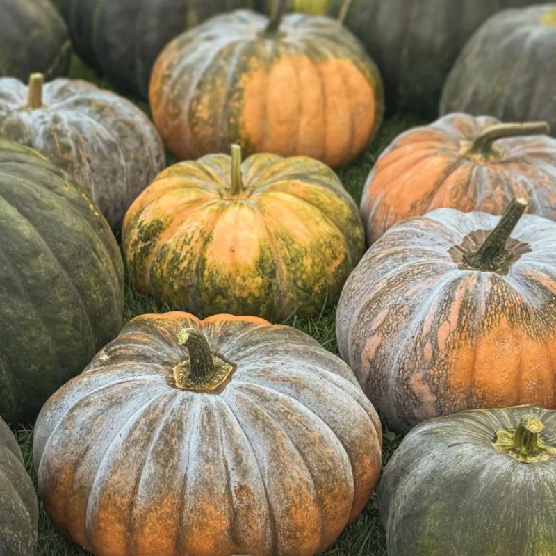 �����: ��� ������� ���������� � �����������