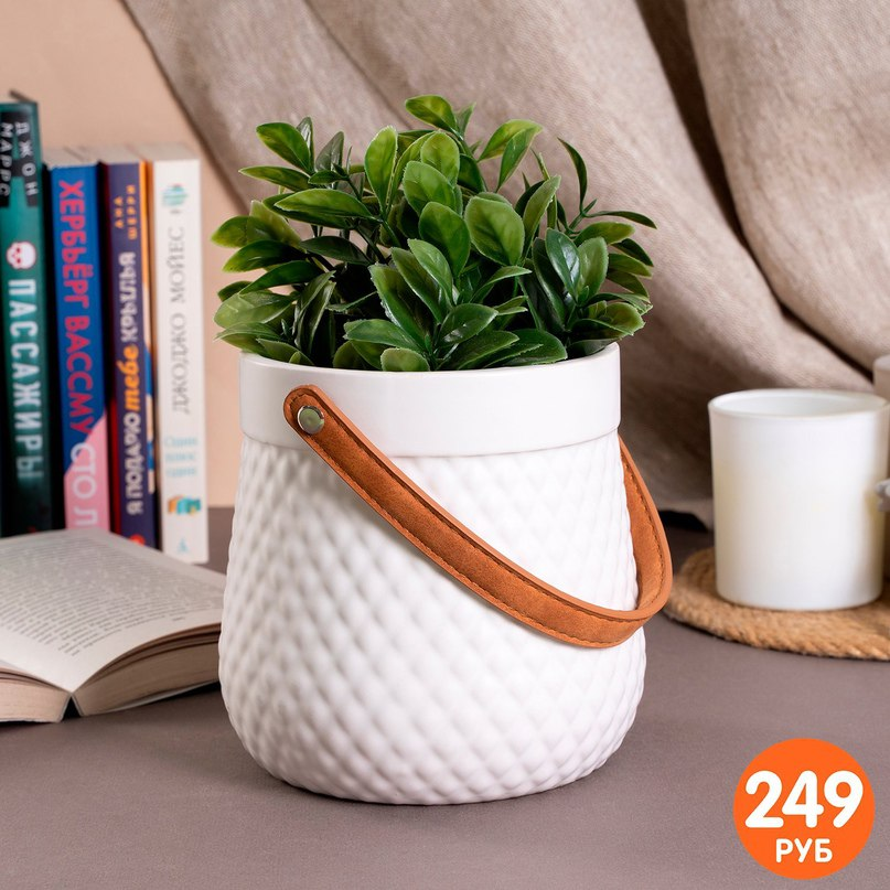 Кашпо из Фикс Прайса: стильный выбор для любого интерьера