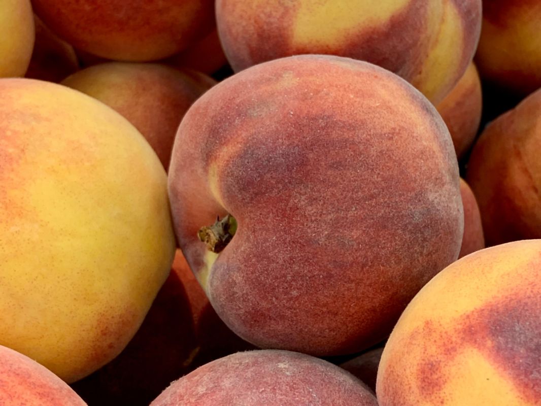 ������ ������ � ���������: ��������� ������ ��� ������ ������