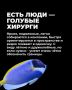 Найди свою рыбу: увлекательные погружения в Дахабе