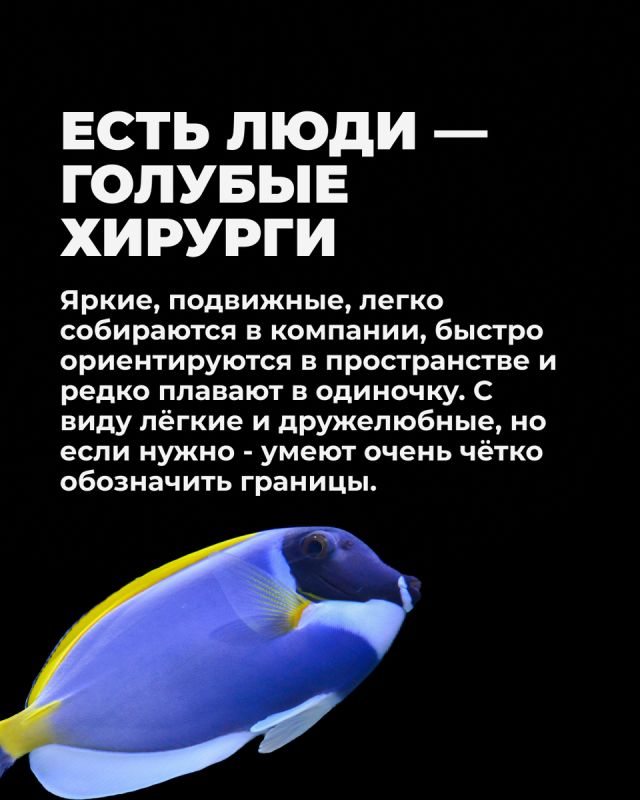 ����� ���� ����: ������������� ���������� � ������