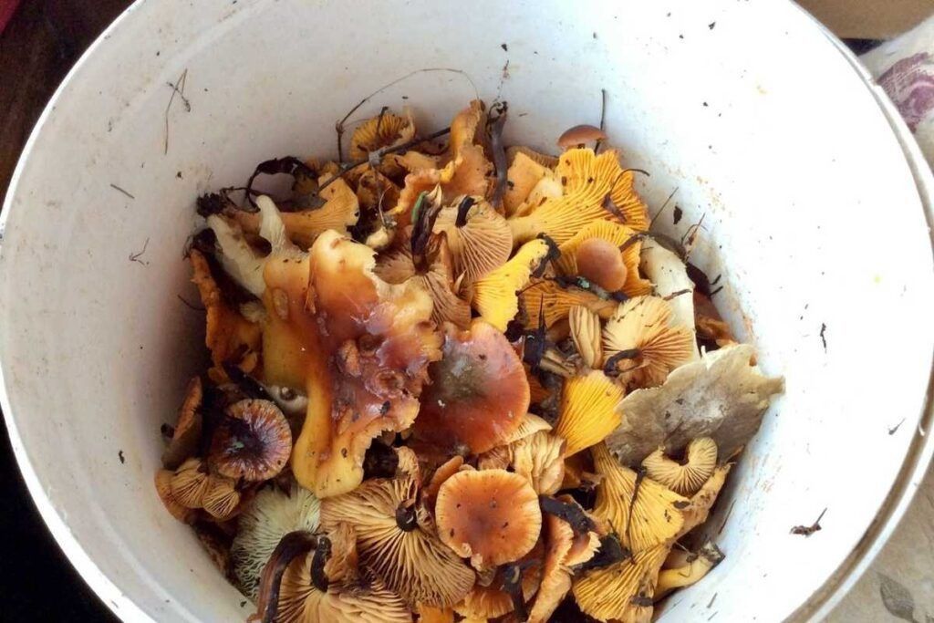 ������� ��� � ������������� �������: ������ ������� ������� � ����� ���� � ����� ������