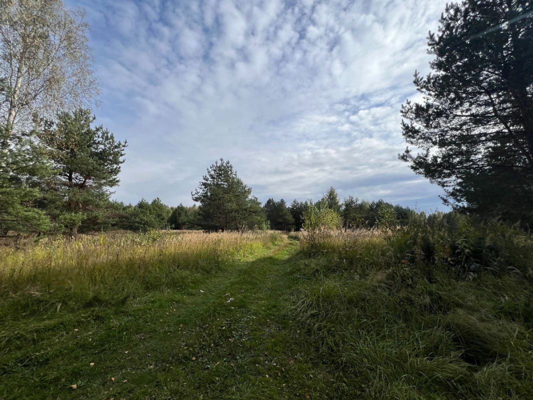 ������� ����� 2025: ���������� ������� � �������� ��� ��������� � ������