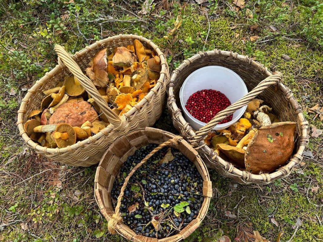 ������� �������: ��� ���������� ���� ������ �������� ���������