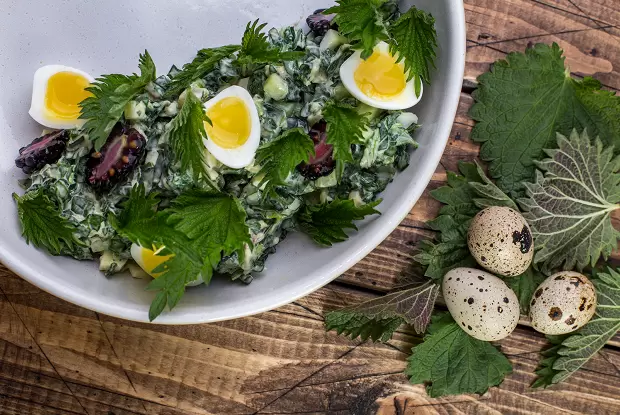 Удивительный салат с крапивой, который приятно удивит вас