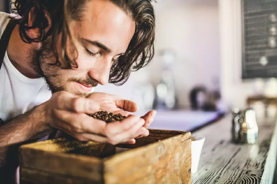 Арабика или робуста: что выбрать для идеальной чашки кофе?