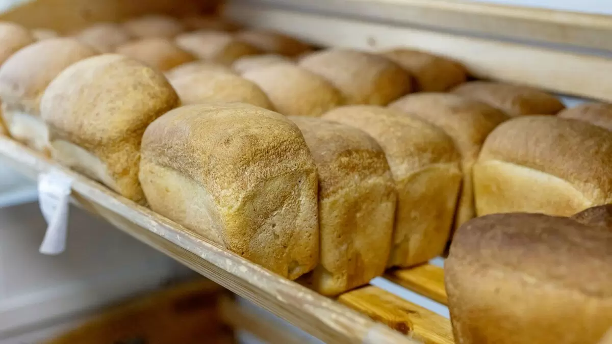 Шурышкарский район: хлебные достижения 2025 года