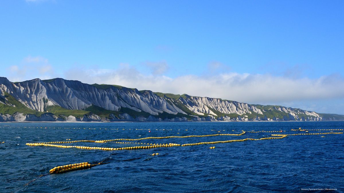 ���������� ������ ��������: ��� ���� ������� ������ �������